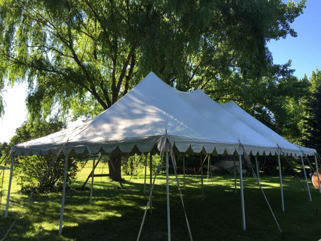 White pole tent on a lawn at a shady outdoor venue with trees.